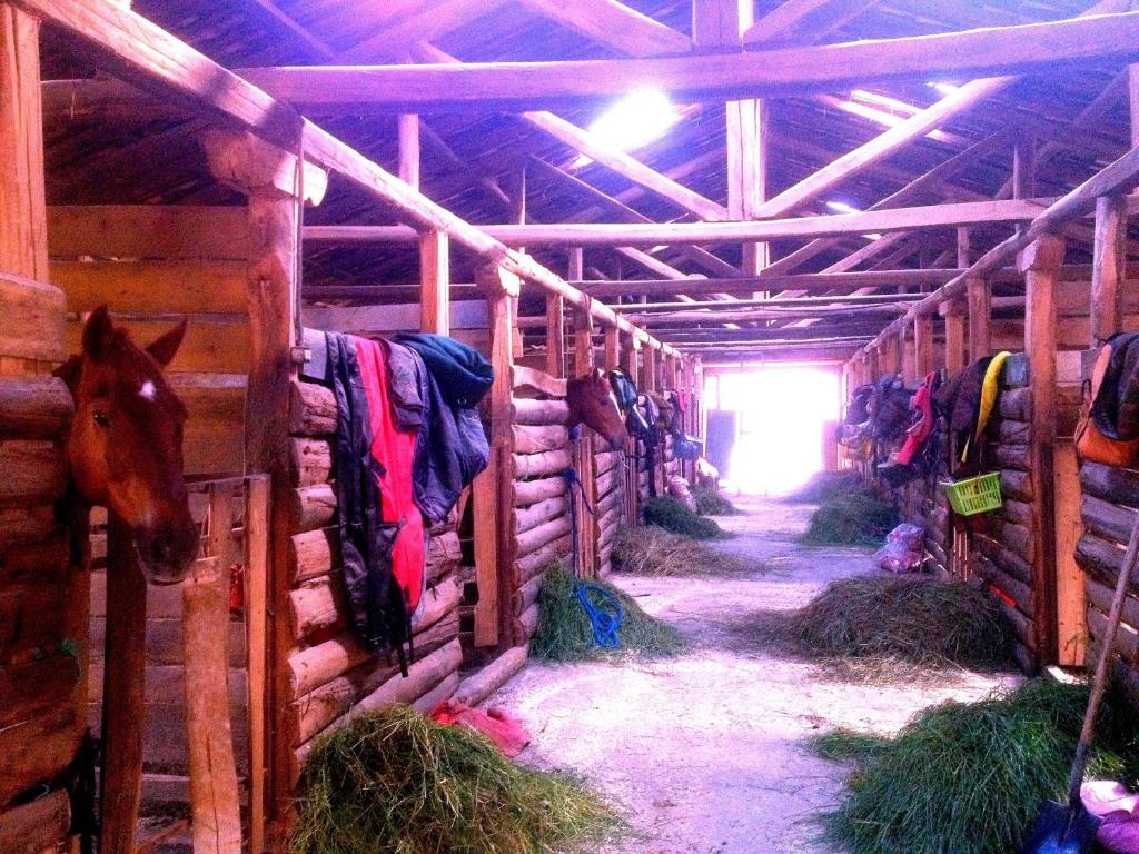 Hosteria Caballo Campana Cuenca Buitenkant foto